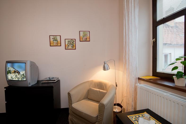 Hotel U Zlatého býka Písek Esterno foto